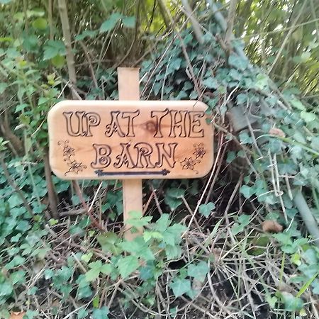 Hotel Up At The Barn Petworth Esterno foto