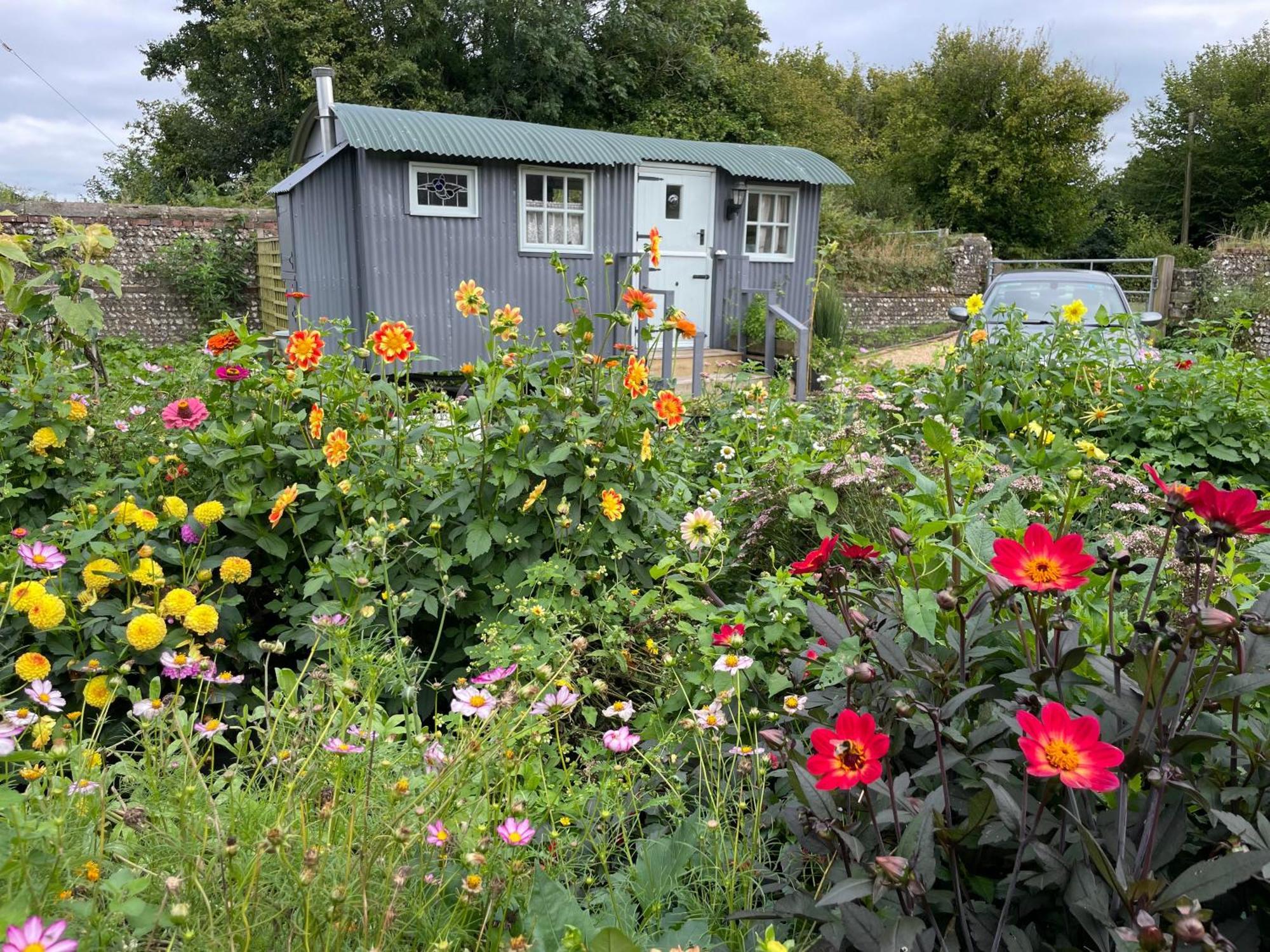 Hotel Up At The Barn Petworth Esterno foto