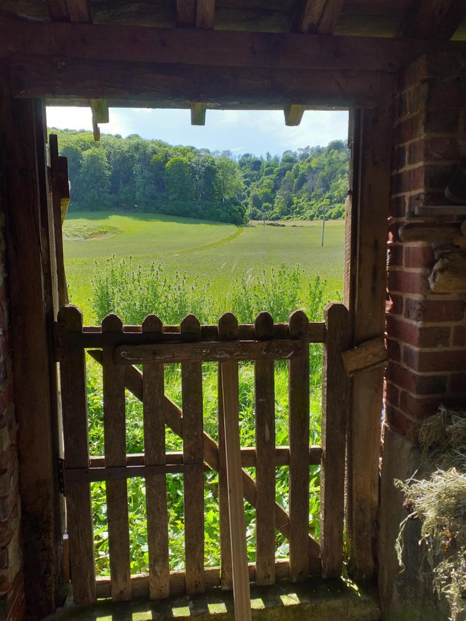 Hotel Up At The Barn Petworth Esterno foto